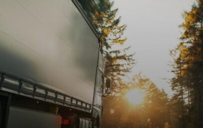 Норвегія скасовує 10-денний термін декларування товарів