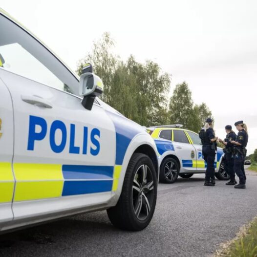 ROADPOL представив план перевірок на 2026 рік