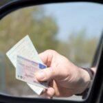 ЄС продовжує процес оновлення директиви щодо водійських посвідчень