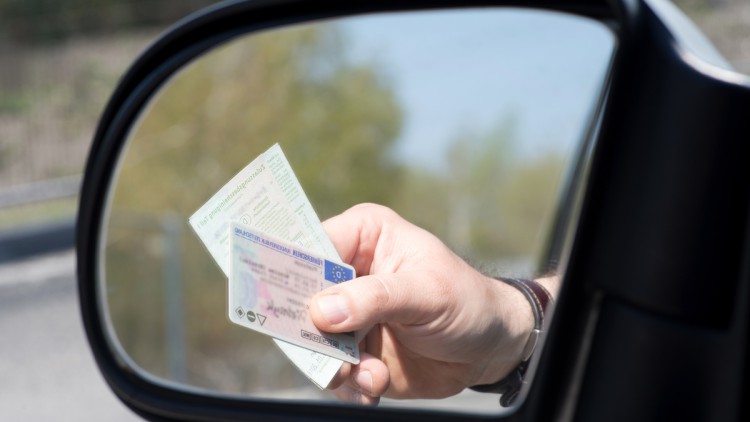 ЄС продовжує процес оновлення директиви щодо водійських посвідчень